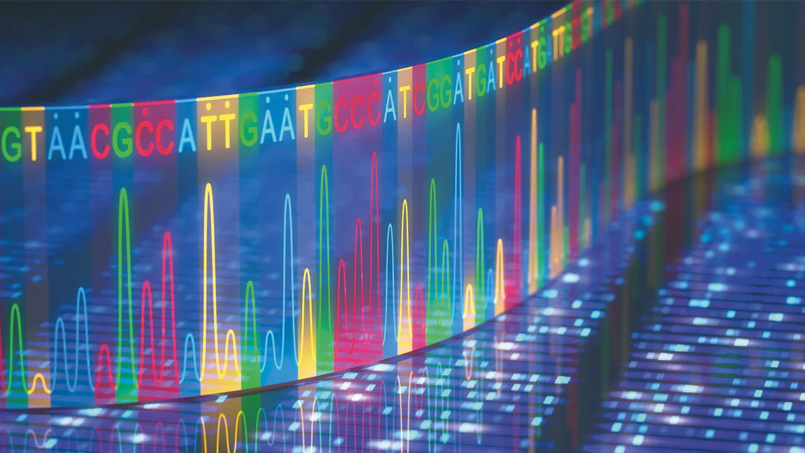 تنوع ژنتیکی و تکامل DNA: چگونه تفاوت‌ها هویت انسان‌ها را شکل می‌دهند؟
