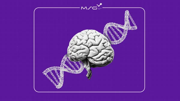 تاثیر ژنتیک رفتاری چیست؟ نگاهی به تأثیر DNA بر شخصیت و رفتار انسان