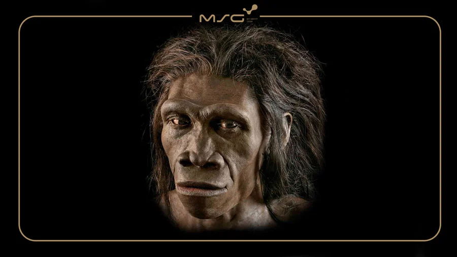 انسان راست‌ قامت یا HomoErectus؛ از ویژگی رفتاری تا فیزیکی