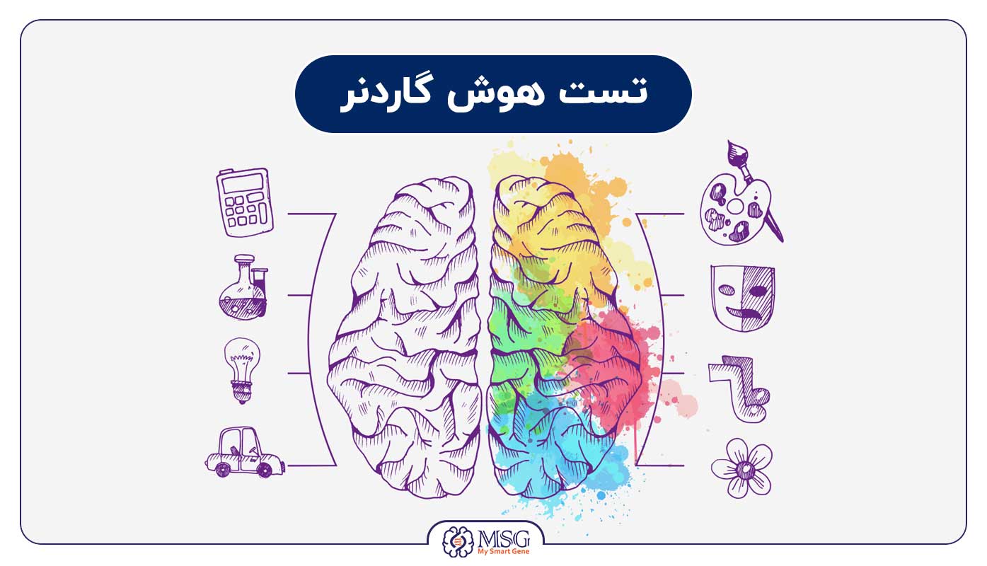 آشنایی با تست گاردنر، روشی برای استعدادیابی کودکان